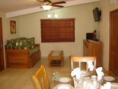 Living and dining area (1 bedroom unit)